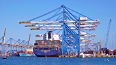 Vietnam-UAE Comprehensive Economic Partnership Agreement (CEPA): Key Details