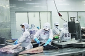 Export moves to Halal markets
