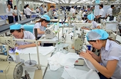 New challenges for businesses exporting to Europe