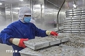 Eleven-month seafood export almost reaches 9.2 billion USD