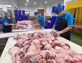 Việt Nam to spend US$1.7 billion on meat imports