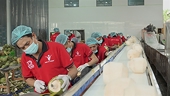 Vietnamese agricultural exporters focus on fulfilling orders at year-end