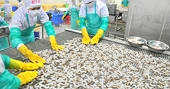 Seafood industry aims for 10-15% export growth rate in 2025