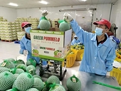 Agro-forestry-aquatic product exports see ample room for growth in 2025