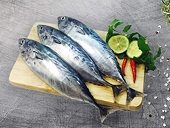 Tuna exports to Italy face challenges