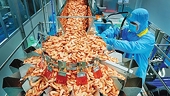 Shrimp exports exceed target thanks to FTAs