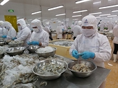 Early warning helps seafood businesses overcome difficulties