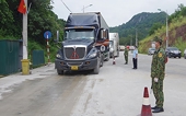 Border gates see bustling agricultural exports in early 2025