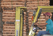 EU regulation on timber origin poses challenge to Vietnamese exporters
