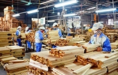 Positive outlook for wood product exports after roaring success in 2024