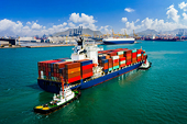 Import-export activities burgeoning in early days of 2025