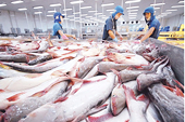 Protecting Vietnamese exports from trade defense wave