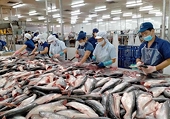Vietnamese Tra fish exports: Could the US overtake China?