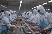Trade war unlikely to hurt Vietnam agricultural exports