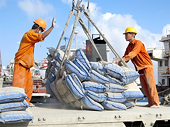 Chinese Taipei continues anti-dumping investigation into Vietnamese cement