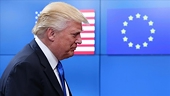 EU trade chief says ready to work with US on lower tariffs