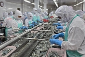 Vietnam’s aquatic exports poised to hit 11 billion USD landmark