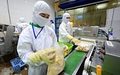 New challenges from agricultural export markets