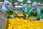 Việt Nam’s exports not in direct competition with the US: official