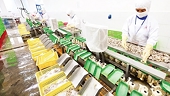 Expanding exports to EU via official channels
