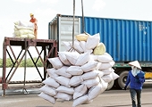Vietnamese rice exporters urged to boost global competitiveness
