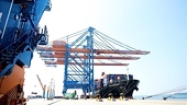 Vietnam makes efforts to diversify export markets