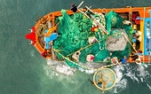U.S. marine law threatens Vietnam’s seafood exports