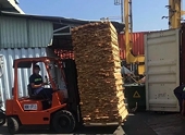 Vietnam cuts import taxes on key goods ahead of US tariff announcement