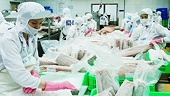 Vietnam under both prospects and pressure to reach export target