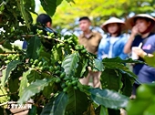 Measures sought to reach $65 billion in agro-forestry-fishery export