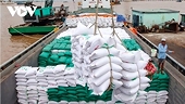 Philippines is Vietnam’s largest rice consumer