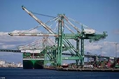Trump tariffs will send global trade into reverse this year, warns WTO