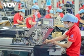 Exporters cope with mounting pressures as EU imposes stricter requirements