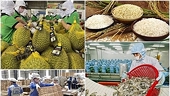 In-depth market research essential for export to the EU
