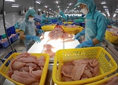 Brazil becoming key market for Việt Nam's seafood