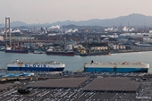 Asia takes lead in race for interim deals to avoid Trump tariffs
