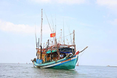 EC postpones Vietnam’s seafood inspection until year end