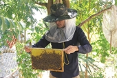 Beekeepers invest in quality to keep the market
