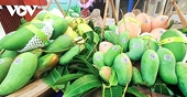 Fruit and vegetable exports plunge amid China’s stricter requirements