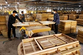 Southeastern region’s wood industry responds flexibly to US tariff threats