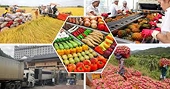 Vietnam to Safeguard Agricultural Production and Exports Amid Global Trade Uncertainties