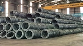 Vietnamese enterprises eye Middle Eastern market