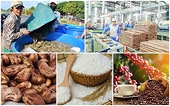 Vietnamese companies visit US for agricultural trade opportunities
