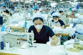 Textile-garment sector adapts quickly to market fluctuations