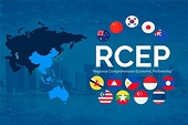 Circular No. 29/2025/TT-BCT amending Circular No. 07/2022/TT-BCT on guidance on trade remedies under the RCEP
