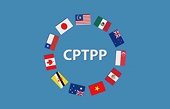 Circular No. 30/2025/TT-BCT amending Circular No. 19/2019/TT-BCT prescribing the application of special safeguard measures to implement CPTPP