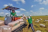 Vietnam enhances rice export position in Canadian market