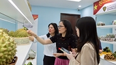 Rejected durian returns remain uncontrolled