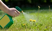 India Imposes Anti-Dumping Duty On Herbicide Imports From China For Five Years; "Level-Playing Field" For Manufacturing Sector
