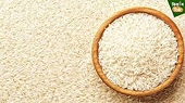 India's rice exports gain edge as Vietnam, Thailand face subdued markets: Report